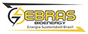 Ebras Bio Energy